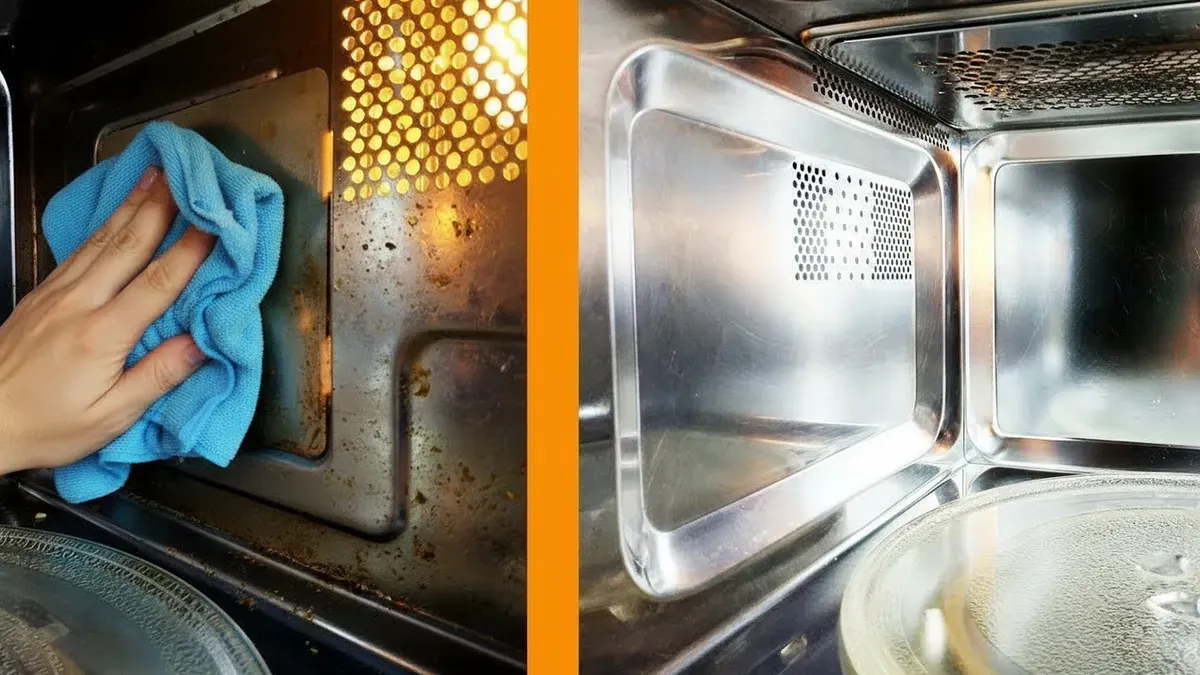 Effektive Mikrowellenreinigung: Der Dampfreinigungstrick